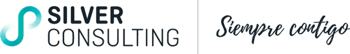 Silver Consulting